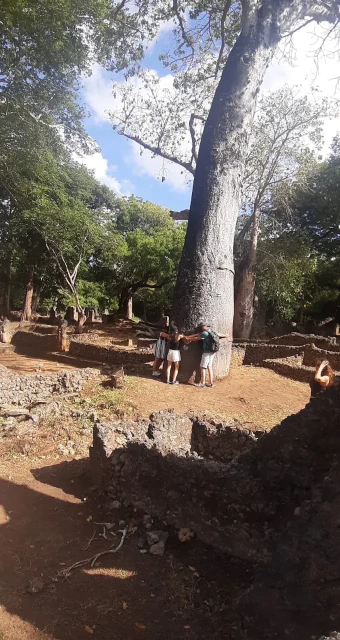 Alcuni visitatori ai piedi di un baobab monumentale, lungo il sentiero di terra rossa.